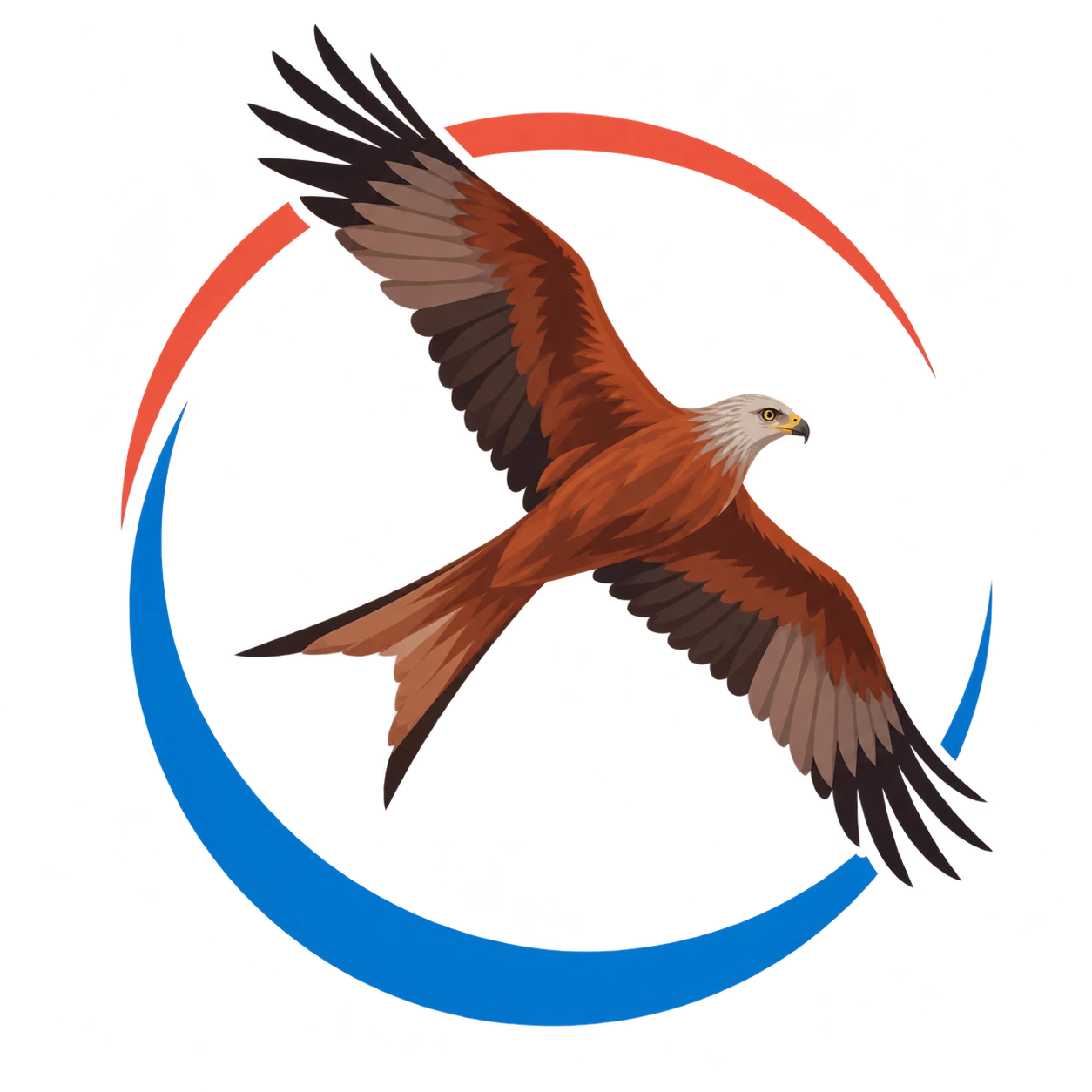 Red Kite Climate logo — a red kite in flight